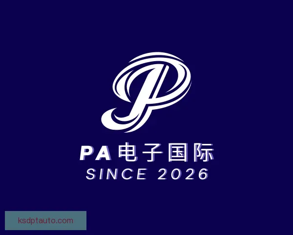 介绍PA电子
